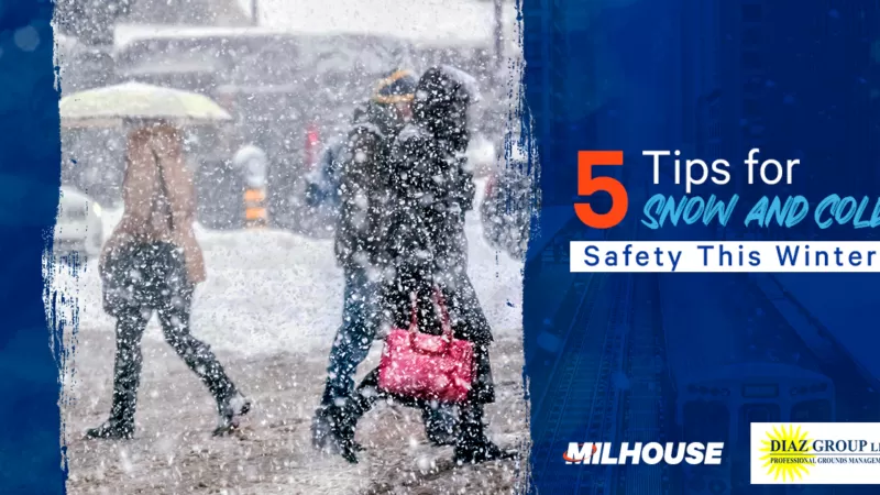 5 Tips for Snow and Cold Safety this Winter 