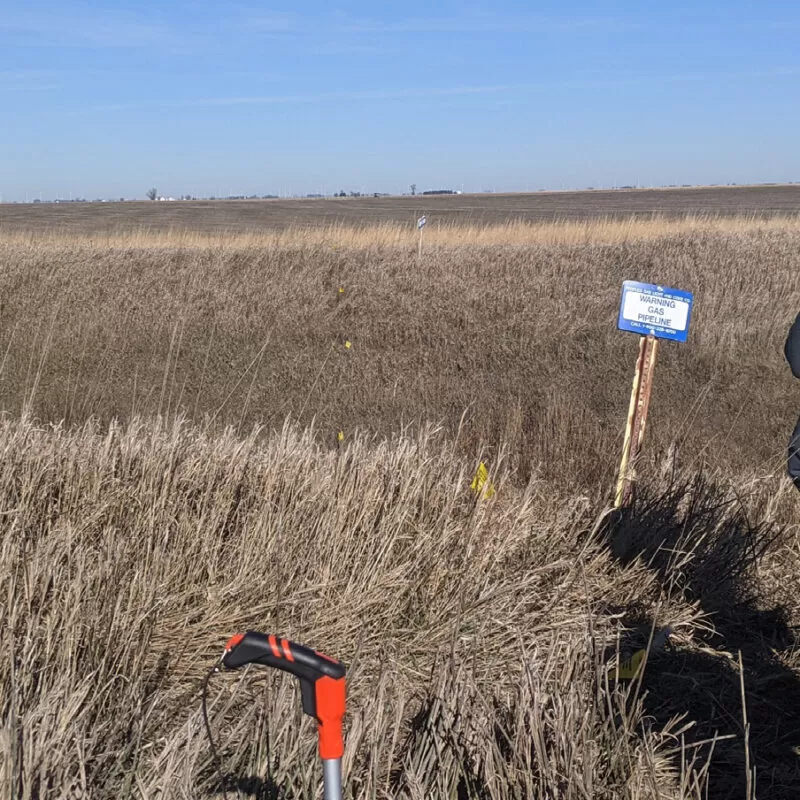 P Mahomet in Weld Cut