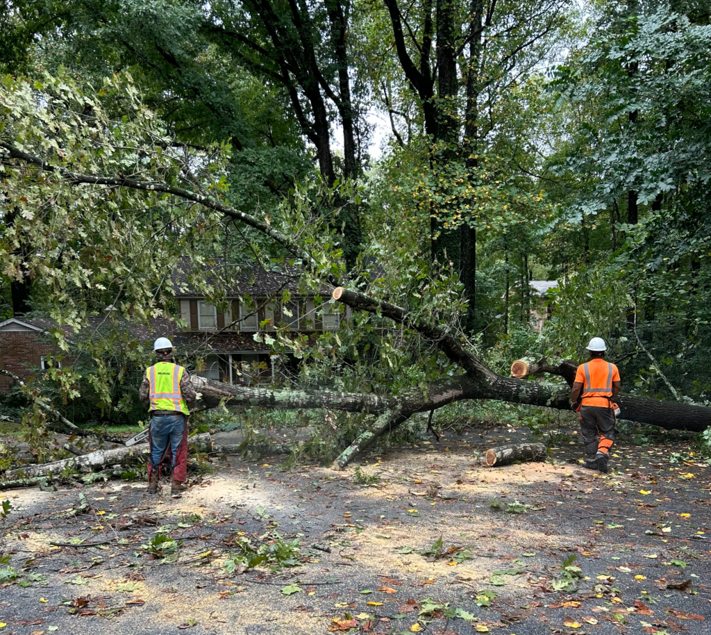 Emergency Storm Response Service and Community Restoration - Milhouse ...