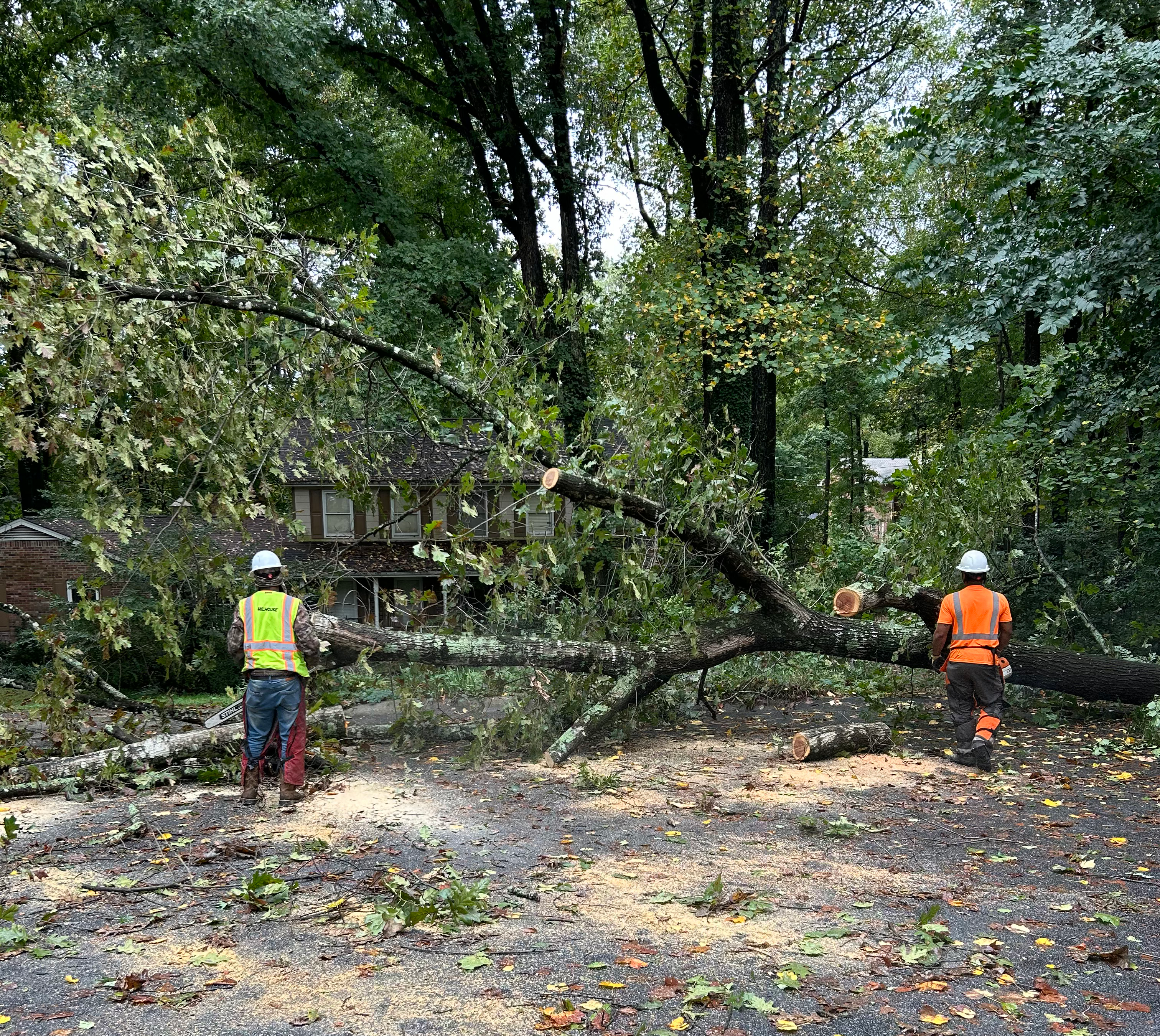 forestry emergency storm cleanup