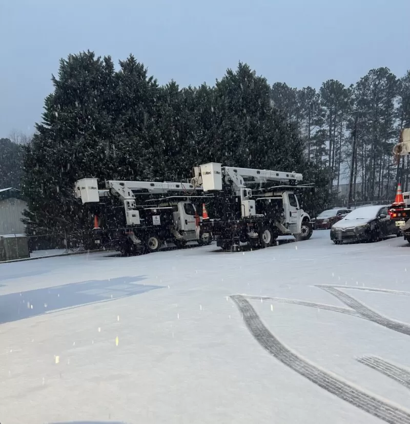 forestry winter storm response